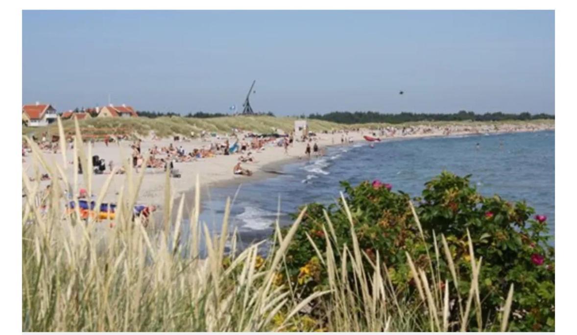 Skon Villalejlighed I Skagen Med Terrasse Og Taet Pa Centrum Dış mekan fotoğraf